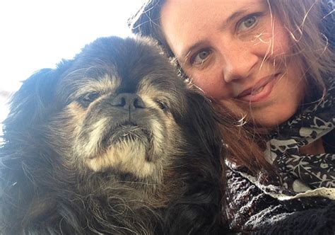 dog    write   goodbye letter huffpost life