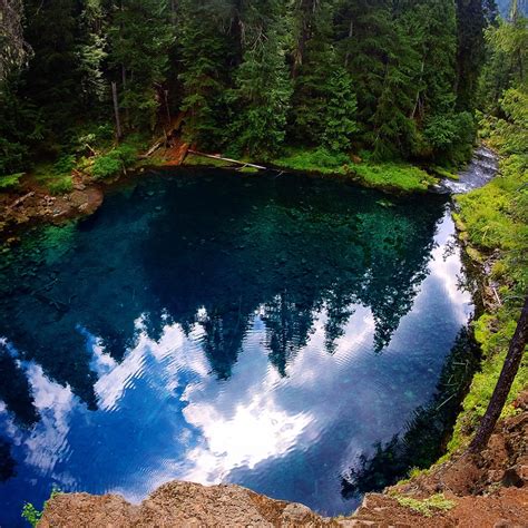 Tamolich Pool Aka Blue Pool Oregon Pics