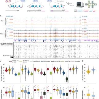 Joint Profiling Of Chromatin Accessibility And Gene Expression Using