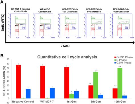 Frontiers Characterization Of Resistant Mcf 7 Breast Cancer Cells Developed By Repeated Cycles