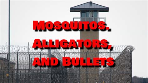 Mosquitos Alligators And Bullets Action Adventure Full Movie