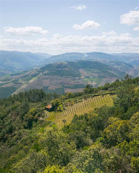 Douro Valley, Portugal - Perfect Day Trip from Porto - Kevmrc