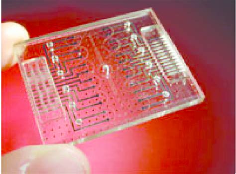operating    american microfluidic chip