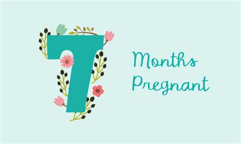 7 Months Pregnant Symptoms Belly Size And Fetal Development