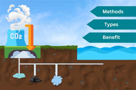 Carbon Sequestration Explained: Methods, Types & Benefits - Energy Theory