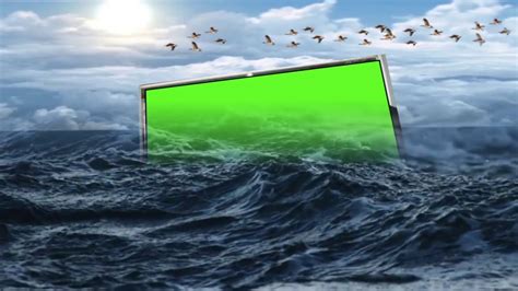 3d Wedding Green Screen Effects3d Edius Effectgreen Screenwedding