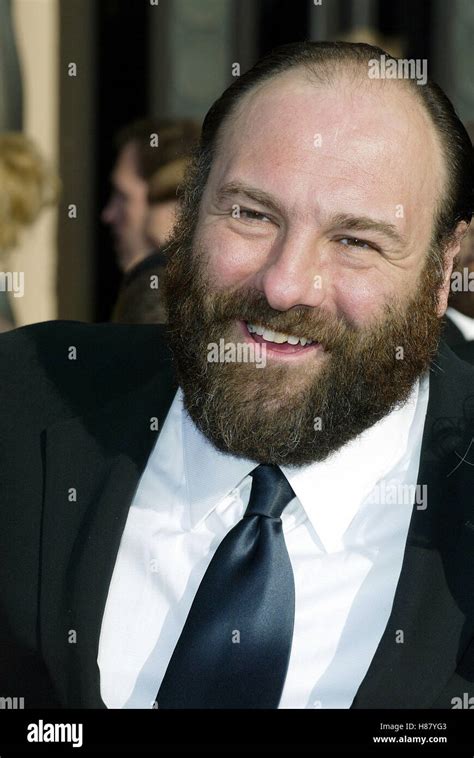 james gandolfini  screen actors guild awards arrivals shrine
