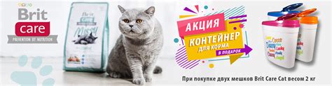 Зоотовары - интернет зоомагазин в Минске. Корм для собак и корм для ...