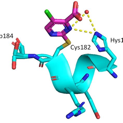 Mutant P Hotspot Mutations Loss Of Function Lof Gain Of Function