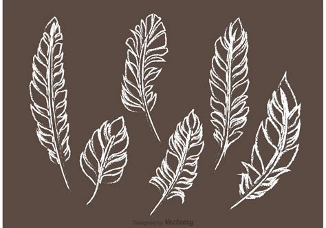 Free SVG Feather Outline Svg 1044+ File Include SVG PNG EPS DXF