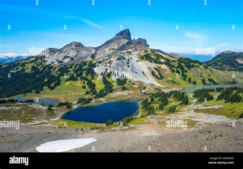 Blue Lakes In Front Of Black Tusk Volcanic Mountain Panorama Ridge