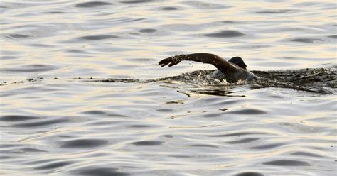 Grandma begins 103-mile swim from Cuba to Florida