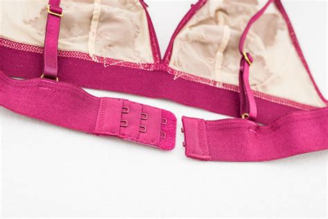 Heartfelt D Embroidered Florals Lingerie Set In Maroon Dreamscape