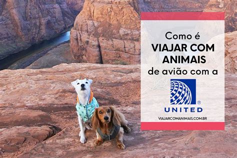 Viajar Animais A United Airlines Relato De Viagem Viajar