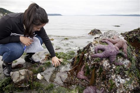 University Of Washington Announces New Marine Biology Major