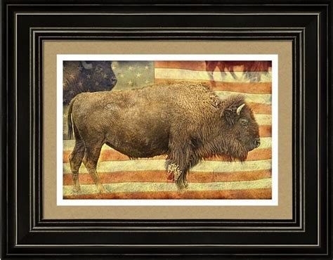 American Buffalo Art Prints – Colorado Nature Landscape Art Prints For Sale