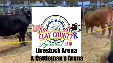 Clay County Fair Livestock Cattleman S Arena Youtube