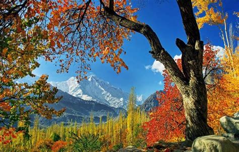 Hunza Autumn Tour – Karakoram Discoveries Pakistan