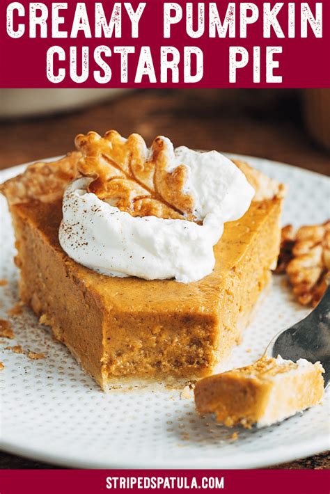 Pumpkin Custard Pie Striped Spatula