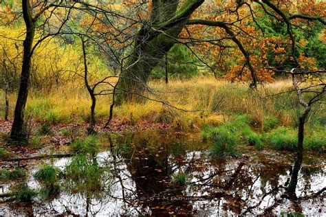 Nationalpark Jasmund Naturfotografie G M Dahmen Bilder Fotos