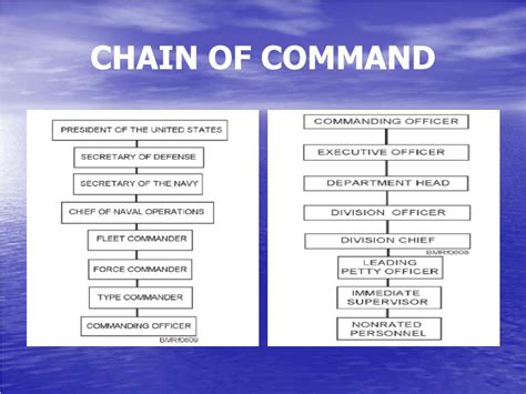 Walmart Chain Of Command Chart