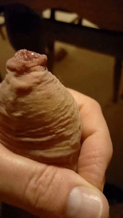 Free British Uncut Gay Porn Videos XHamster