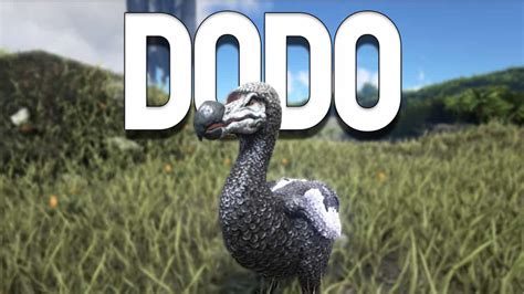 ARK: Dodo - How to Tame, Feed and Breed!