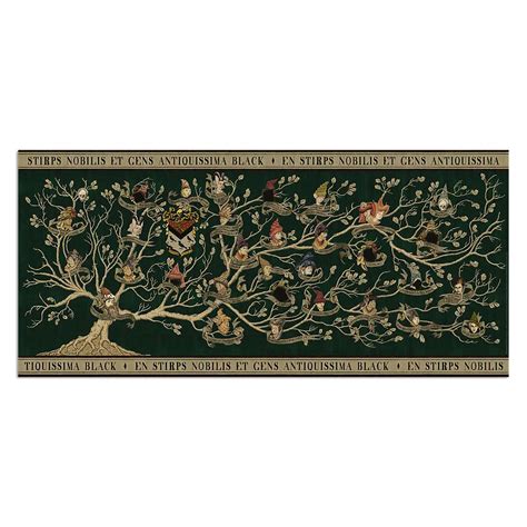 Famiglia Ferruzzi Albero Genealogico 1