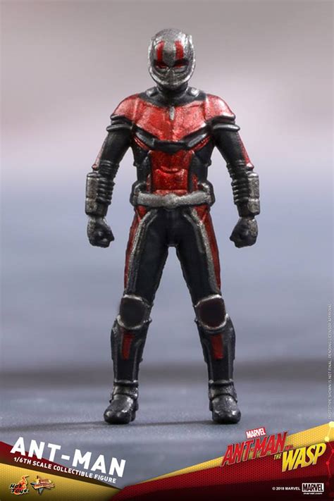 Hot Toys Mms Ant Man And The Wasp Ant Man Acaretoys Hot Toys
