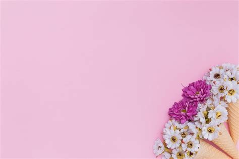 Plano De Fundo Feminino - Plano de fundo feminino Imagens – Download Grátis no Freepik
