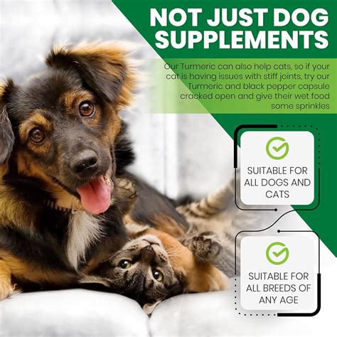 Turmeric For Dogs Review | Happy Pet Place: Ultimate Guide For Pet Health & Happiness