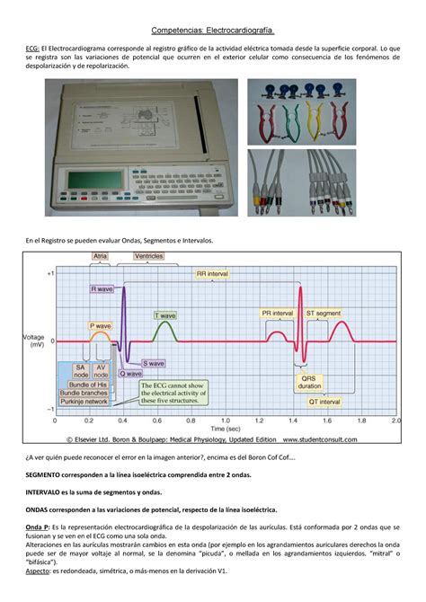 Ecg Basico Electrocardiograma Competencias Electrocardiograf A