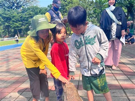 Siapkan Pelepasliaran Satwa Asli Indonesia Taman Safari Bogor Kenalkan