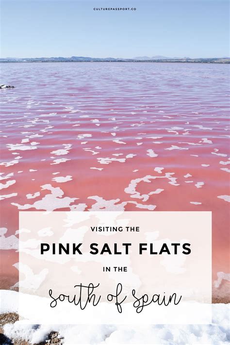 Spain S Pink Lake In Torrevieja Everything You Need To Know Artofit