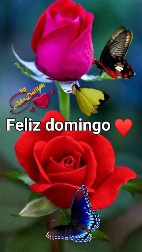 Two Roses With Butterflies On Them And The Words Feliz Dominoo