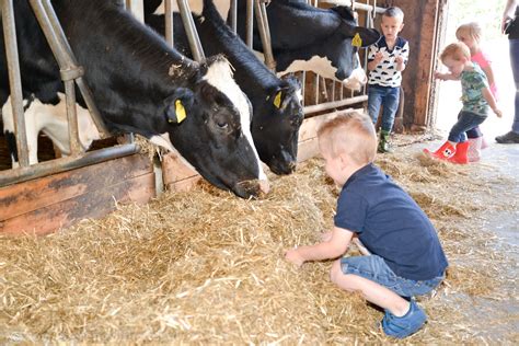 Kom Naar Beleef De Boerderij De Capreton