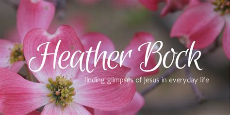 Euphoria Script tagline 