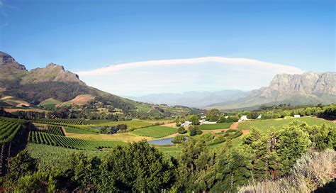 Cape Winelands | Accommodation in Stellenbosch, Franschhoek and Paarl