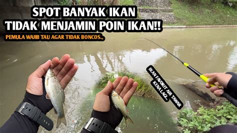 TIDAK ADA KATA BONCOS KALAU SUDAH TAU CARANYA Mancing Wader Dan Melem