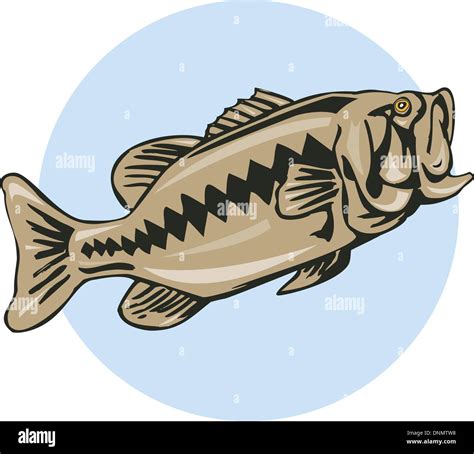 Illustration Of A Largemouth Bass Jumping Done In Retro Style Stock Vector Image And Art Alamy