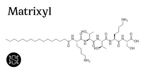 Matrixyl and Copper Peptides: Understanding Active Skincare