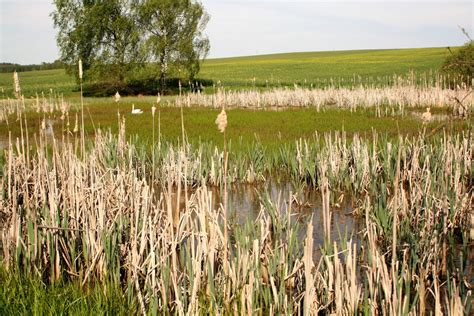 Geschützte Biotope - Jagd - Heintges eLearning System