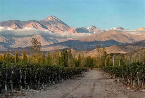 Del Salame Al Vino La Nueva Indicaci N Geogr Fica Que Autoriz El Inv