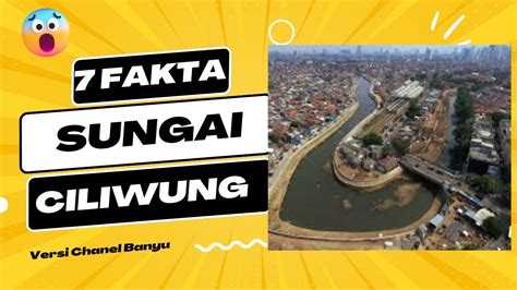 Fakta Fakta Sungai Ciliwung Youtube