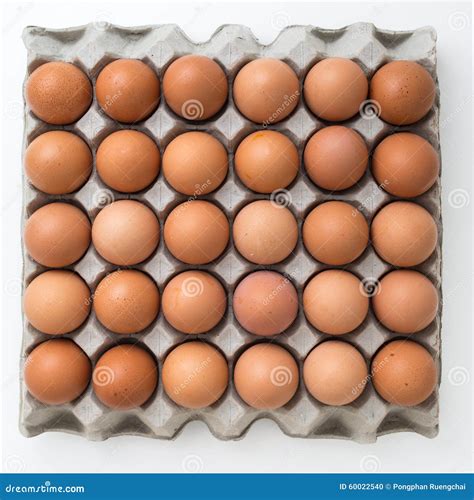 Eggs In Carton Package Stock Photo Image Of Brown Farm 60022540