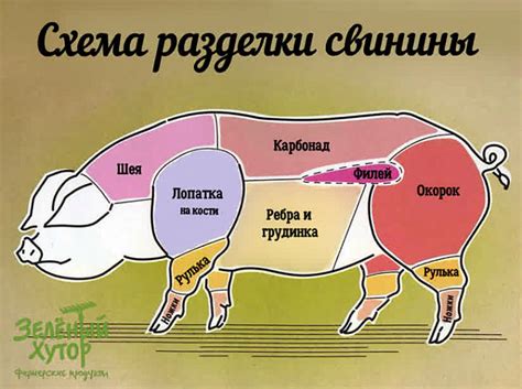 какую часть свинины для чего использовать