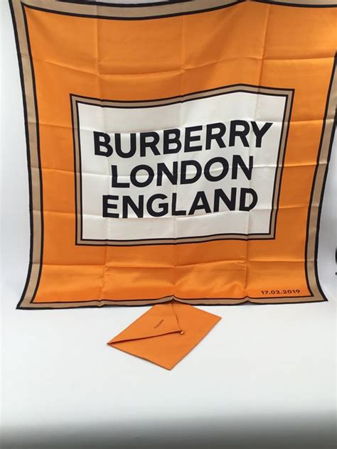 Burberry London Cm Pochette Scarf Catawiki