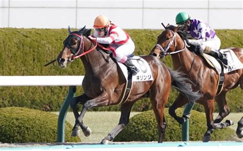 うまこ On Twitter Rt Gallop Keiba 阪神2r、3歳未勝利を勝ったのは5番人気キリンジ。鞍上は永島まなみ騎手！！ 馬名の由来は、中の人の年代的にはバンド名ですが