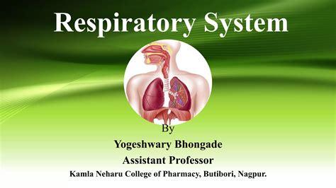 Respiratory System Ppt