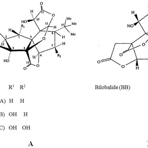 Structures Of Ginkgolides A And Bilobalide B Of G Biloba 4